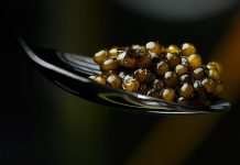 Le caviar « no-kill » : l’avenir durable d’un mets d’exception