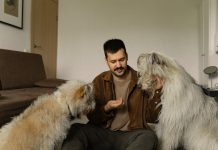 Alimentation et nutrition pour chiens